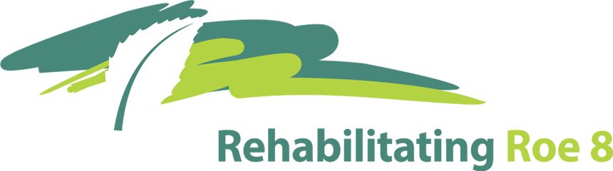 roe-rehab-logo