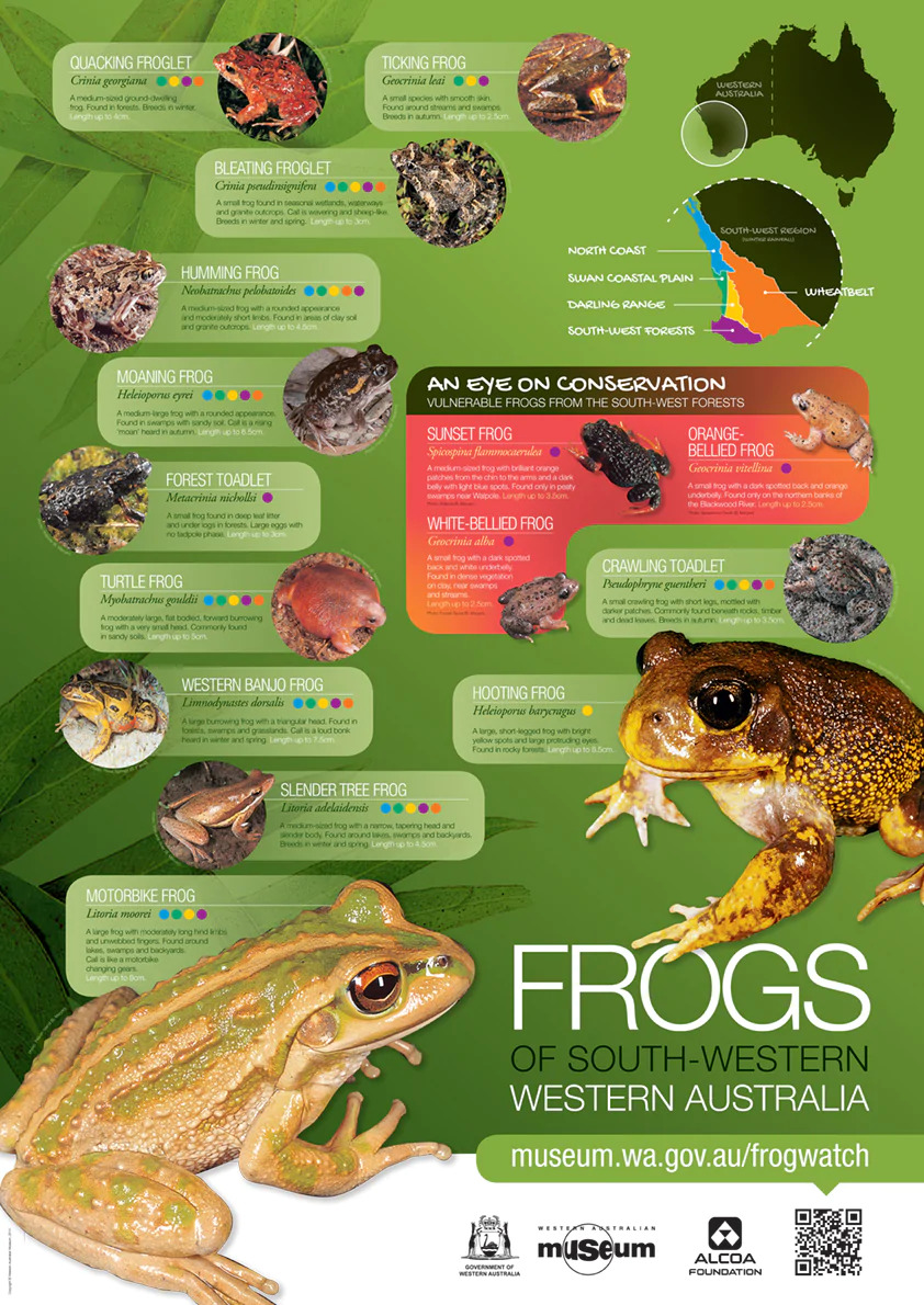 Frogs of the Southwest of Western Australia, From Geraldton to Esperance
