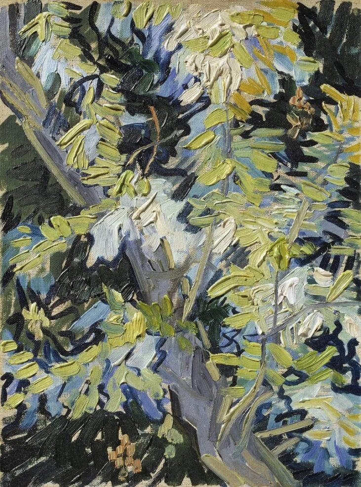 Vincent van Gogh's Blossoming Acacia Branches (1890)