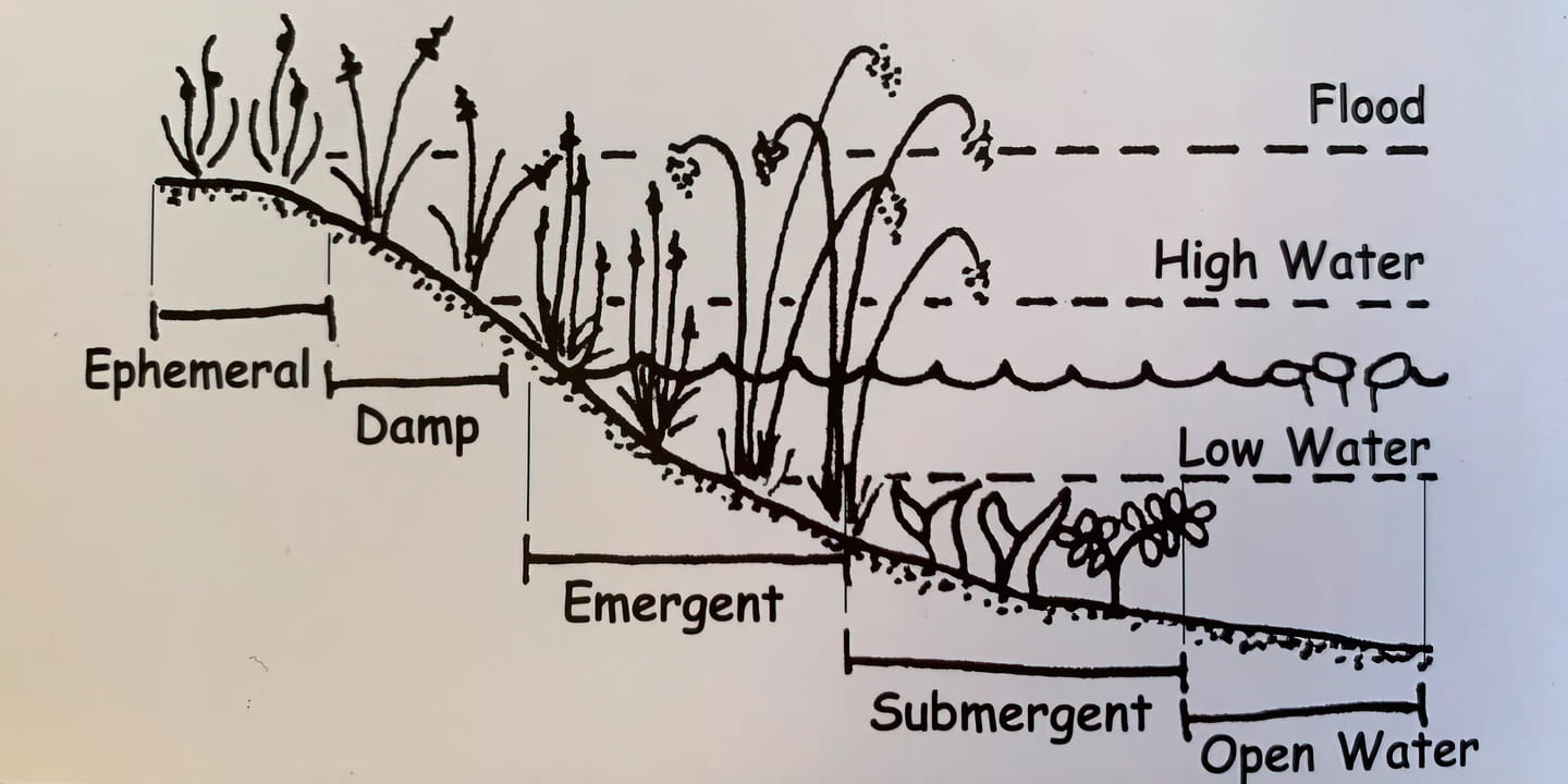 Figure 3. Understanding your planting zones is vital for revegetation and maintaining small critter populations